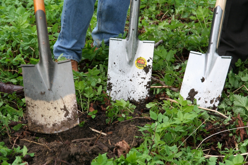 pepiniere-LA TURBIE-min_work-lawn-flower-tool-green-backyard-1103633-pxhere.com